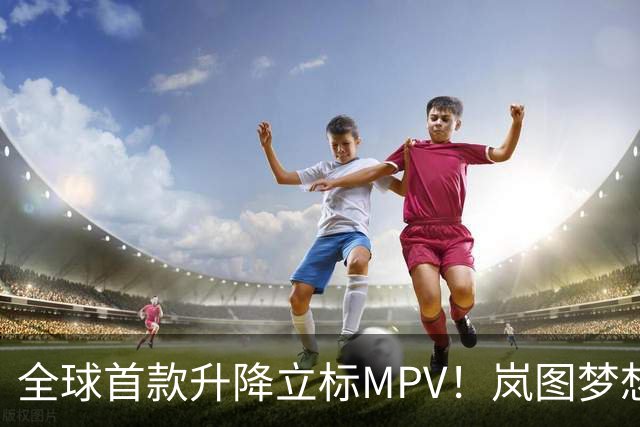 全球首款升降立标MPV！岚图梦想家9正式上市：41.99万元起