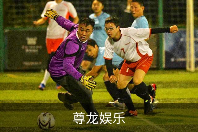 尊龙娱乐公司简介图片