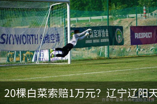 20棵白菜索赔1万元？辽宁辽阳天价赔偿纠纷，结局和法理都值得深思